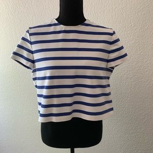 Zara Cropped Stripe Blouse